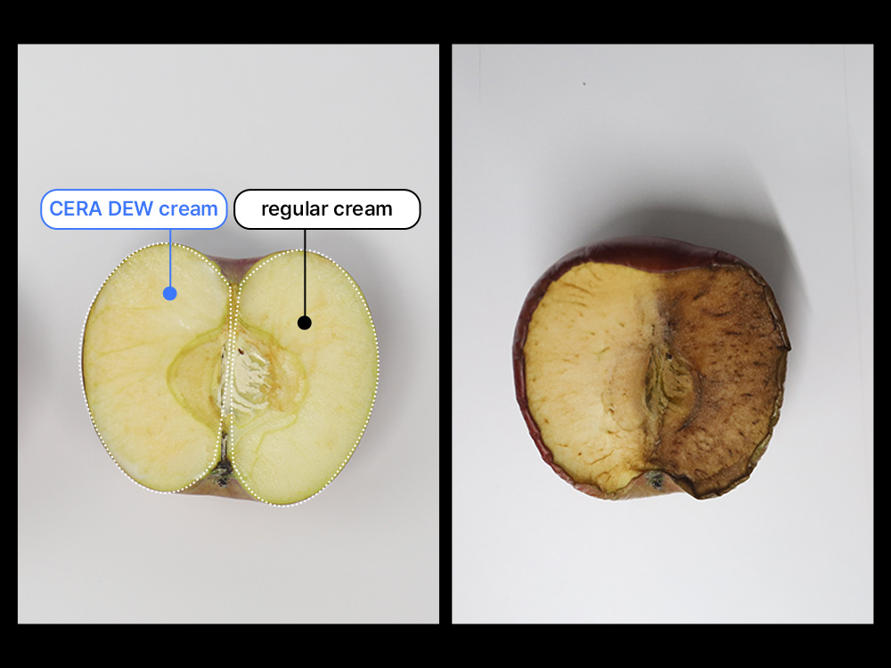 24-hour apple moisture demonstration